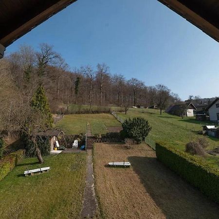 Ferienwohnung Am Waldrand Bad Driburg Eksteriør billede